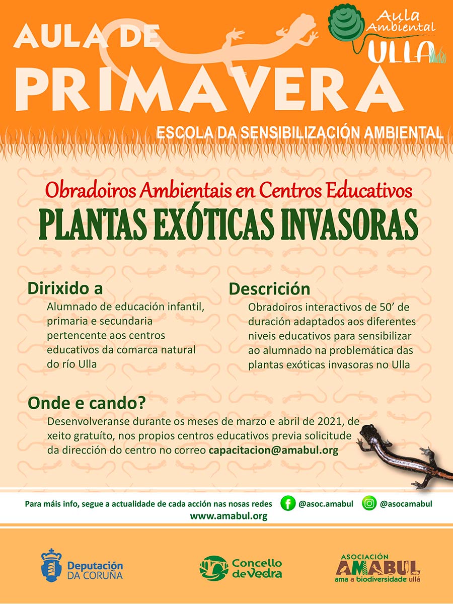 Aula de primavera