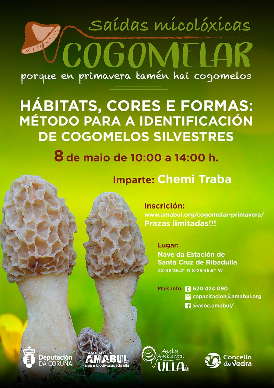 Cogomelar primavera